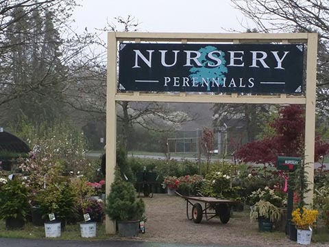 Nursery entrance with a variety of plants