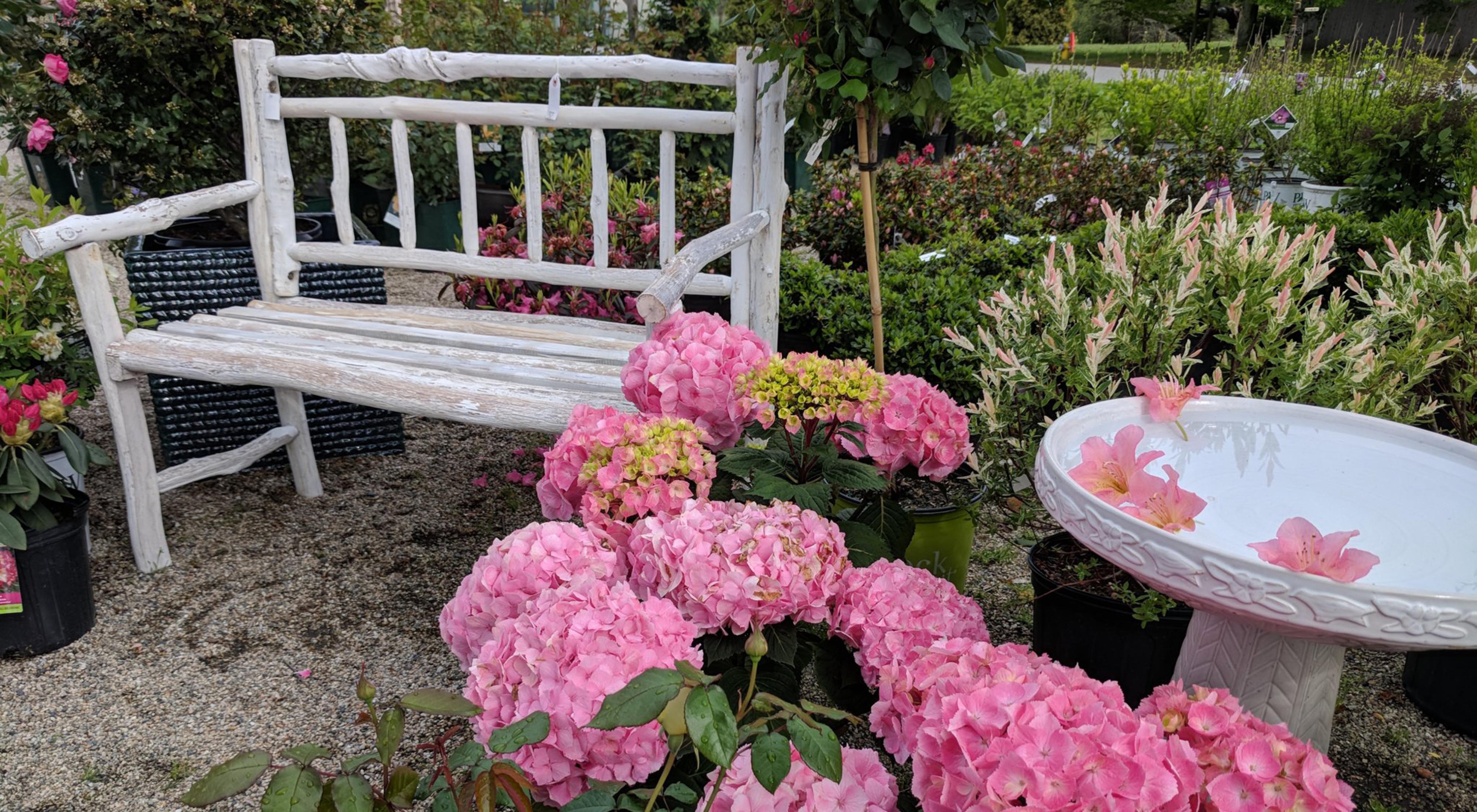  a white bench and a birdbath with flowering plants